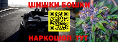 дживик Жуковский