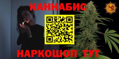 сатива Заводоуковск